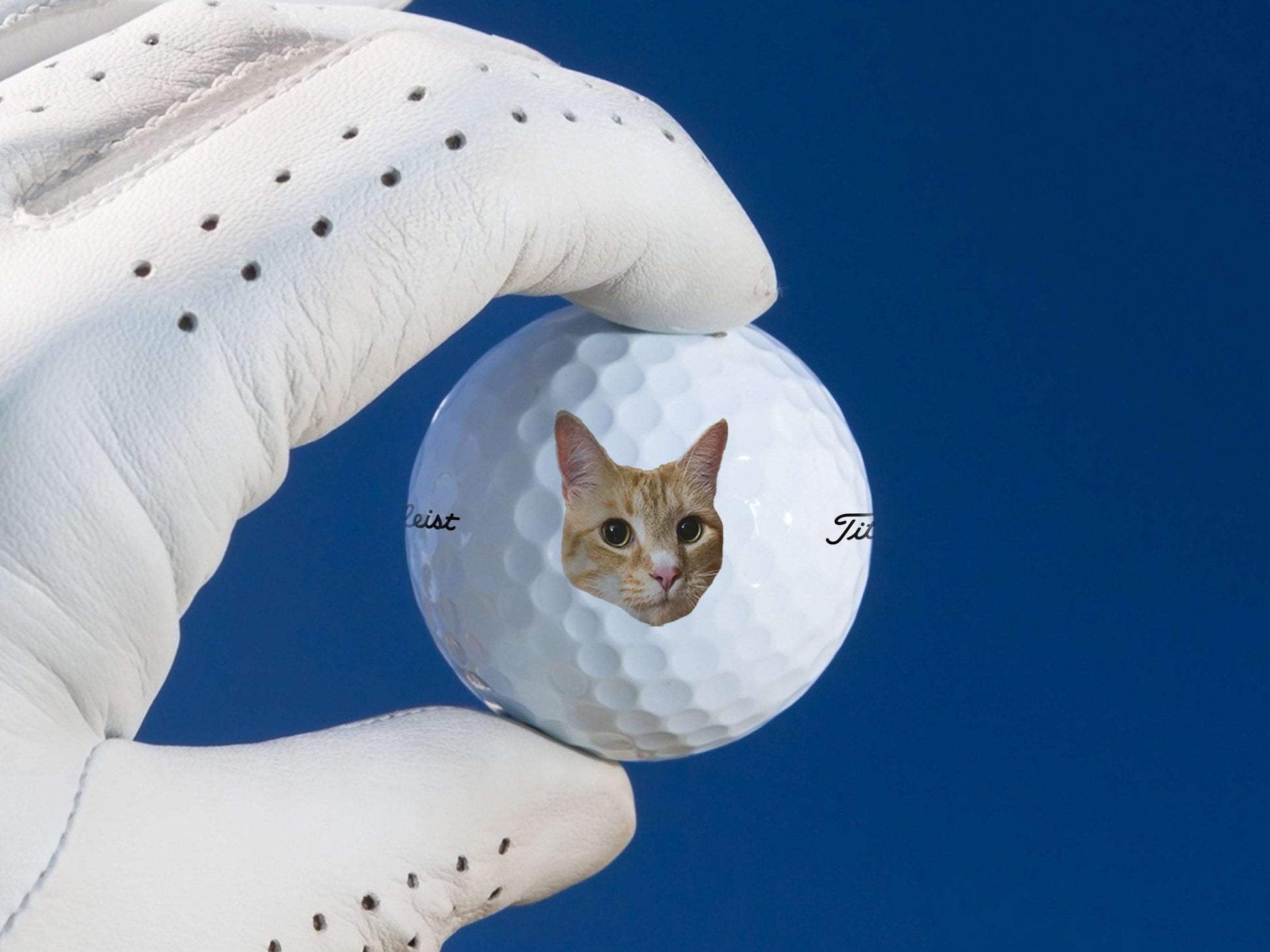 Add Your Pet Photo Golf Balls