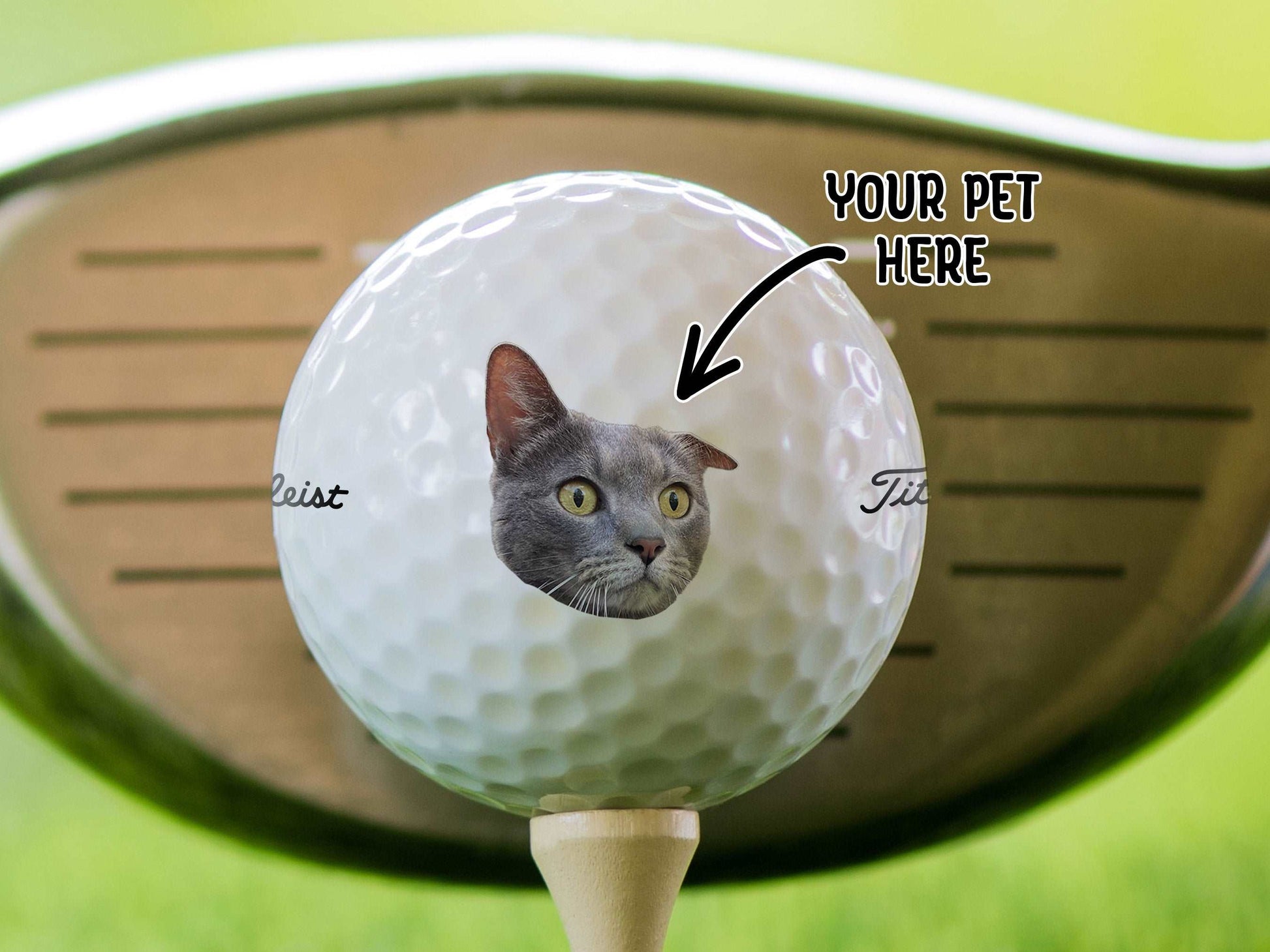 Add Your Pet Photo Golf Balls