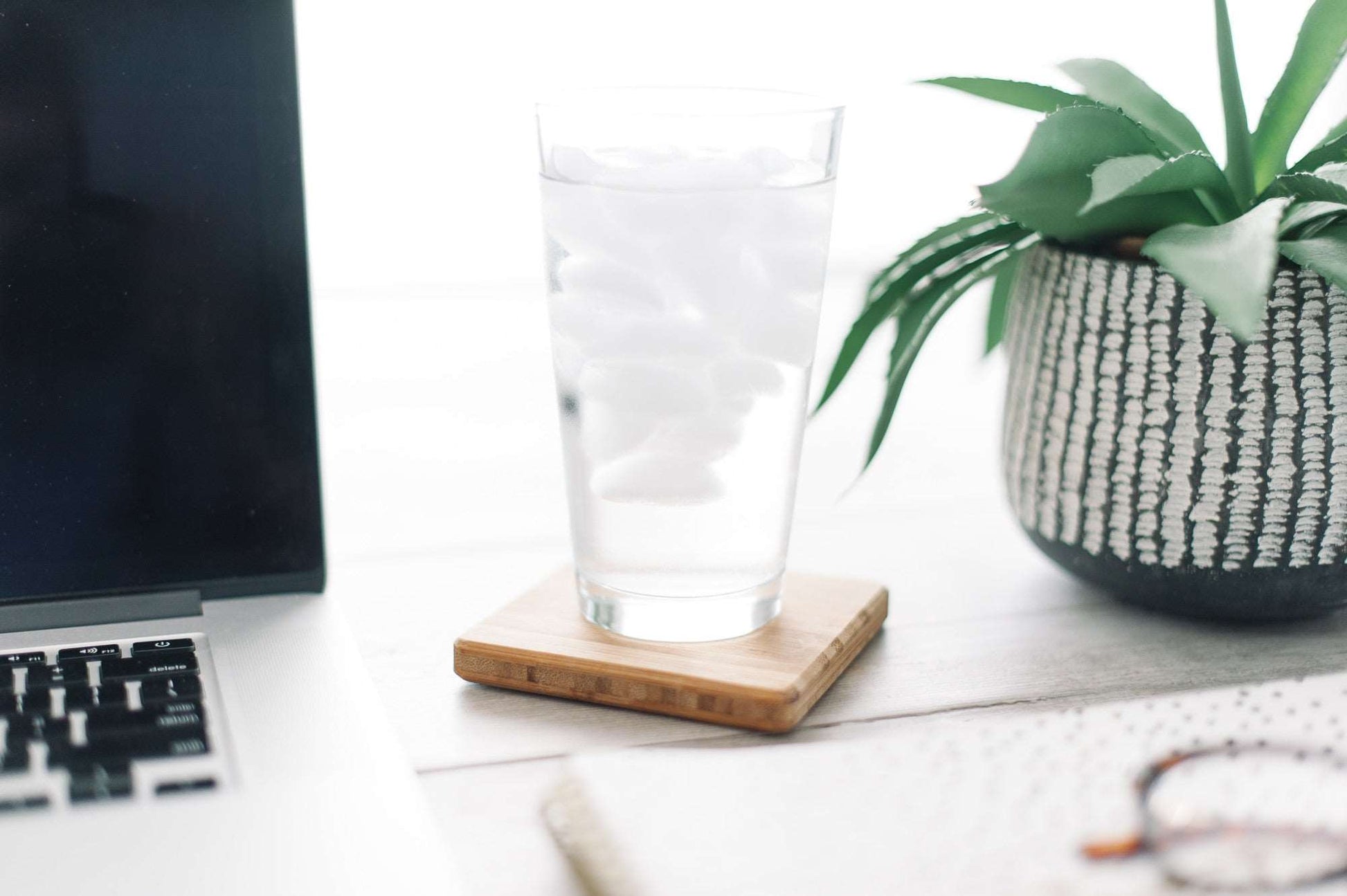 In a World Full of Chaos, Beer Brings Order Bamboo Coasters