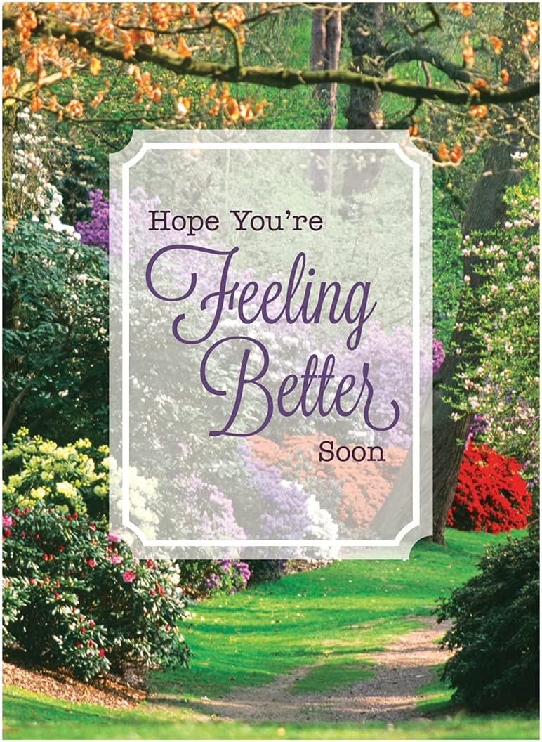 98641 - Religious Get Well Soon Card Set with Envelopes, 12 Cards, 4.75'' W x 6.5'' H, Floral and Landscape Photography 12 cards with 4 assorted designs and KJV Scripture.